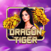Dragon Tiger slot games live casino game